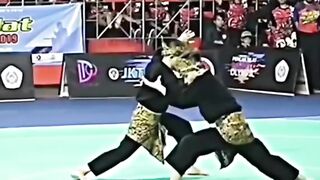 Pencak silat is an Indonesian martial art