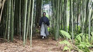 Samurai (Katana)Japanese Sword katas) &( Nito Ryu  Niten Ichi Ryu (two Swords Style)