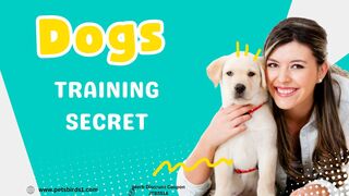 Mastering Dog Training | Training rewards #pets_birds