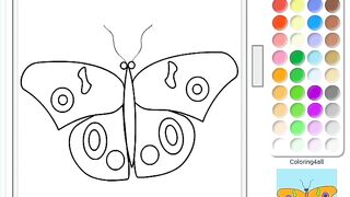 coloring butterflies