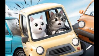 Cute cat couple love story car accident sad story