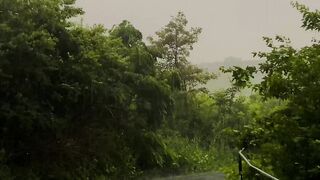 View of little beautiful green place in raining