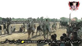 #horsedance #foryoupage#fypviral#foryou #viral #imrankhan#fypシ゚viral#horsedance2024#viralvi#15