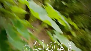 Video Surah Al-Ikhlas