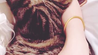 #catlover #tiktokviral #respect #tranding #familia #viralvideo #shortvideo