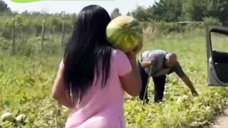 Bumper Hervest Watermelon