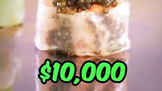 Feeding A Cat $10 Vs $10,000 Sushi 4