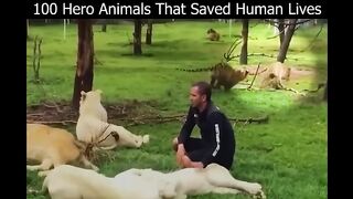 Hero Animals Saved Human Lives Part-1