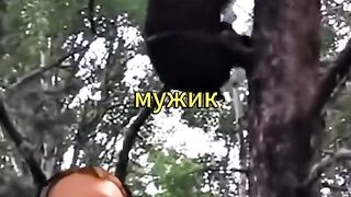 ИСТОРИЯ ЗА МЕЧКА И ЧОВЕК