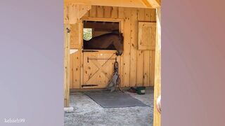 The FUNNIEST Horses Video 2024