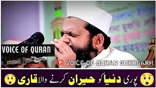 Most beautiful recitation of the holy Quran in the world || beautiful reciter of the holy Quran