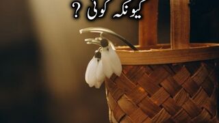 best Urdu quotes????????|aqwal e zareen in Urdu