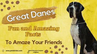 Fascinating Facts Revealed about Great Danes #pets_birds