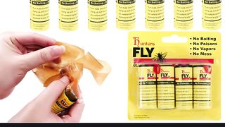 Total Relief from House Flies | گھر کی مکھیوں سے مکمل راحت