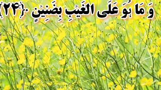 Beautiful recite Quraan 6