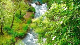 Beautiful Little River☺????