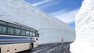 Tateyama Snow Corridor - 65 Feet High Snow Walls