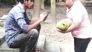 হায়রে পরিক্ষা