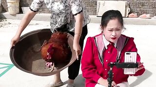 nice funny videos