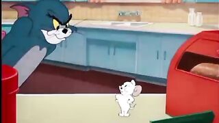 Crazy cartoon Tom and jerry