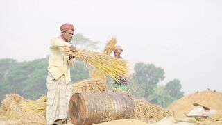 Men farmers agriculture