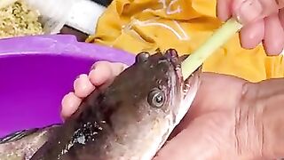 Amazing Fish Grilling Technique-Asian Street Food