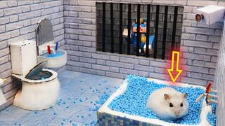 Hamster Escapes the Awesome 5-Star Luxury Prison Maze with Bathtub for Pets in real life