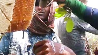 Horrible place collecting honey from Sundarbans