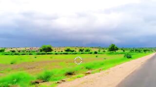 Natural Beauty of Thar