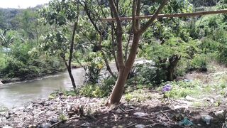 Butterflies And Rivers In The Forests Of Aceh