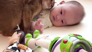 cat playing with baby 2