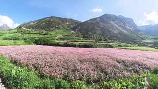 Wanderland Manang