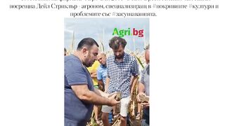 NO TILL ЗЕМЕДЕЛИЕ