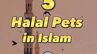 5 Halal pets in  | Unknown Facts | short | viral | trend |