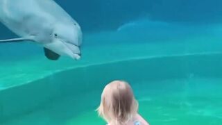 Dolphin knows how to entertain the childs.