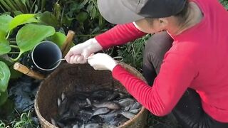 Catch fish using bamboo traps