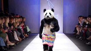 Panda Fashion Show: The Chicest Bear on the Runway!