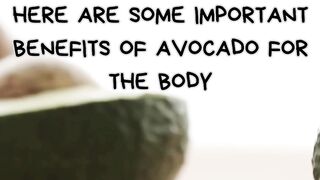 Benefits of Avocados for the Body