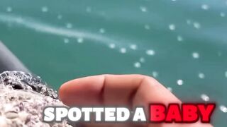 Baby Turtle RESCUED from Barnacles!