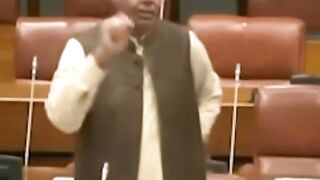 پوری ریاست عمران خان کے پیچھے لگی ہے اور ملک ڈاکوؤں کے حوالے کر دیا