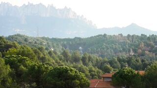 VIEW OF TREES AND ROOFTOPS