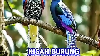 Kisah burung hud hud