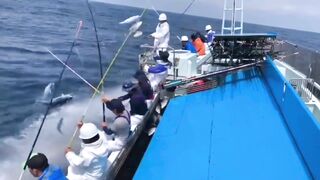 INCREDIBLE TUNA FISHING