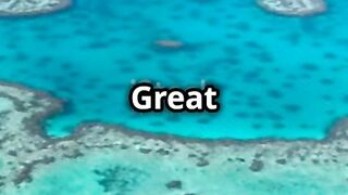 Amazing Facts About Great Barrier Reef