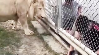 "Sir, please don't put your hands through the cage."