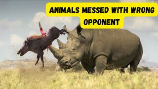 Animals??? Messed With The Wrong Opponent????????????????????