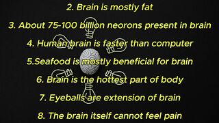 10 Interesting Facts About Brain