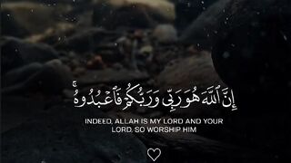 Surah 8