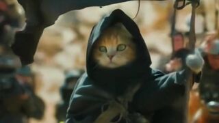 Pasukan kucing Berkumpul bersama untuk misi????????????