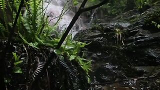 Entre la fuerza de la cascada y la quietud del bosque, descubrimos el equilibrio del alma.